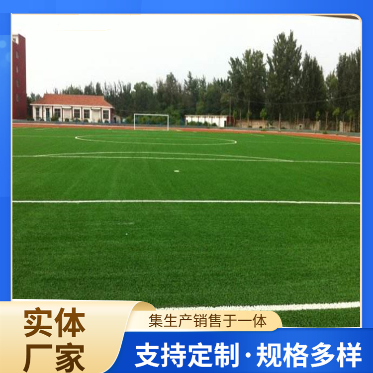 衡水市学校塑胶跑道人造草坪 - 价格